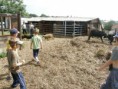 /album/farma-bitozeves/farma-bitozeves-15-jpg/